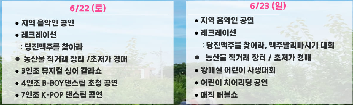 제15회 순성왕매실&amp;당진맥주 프로그램