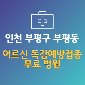 인천 부평구 부평동 노인 독감예방접종 무료 병원 (인플루엔자 무료 접종 대상 날짜)