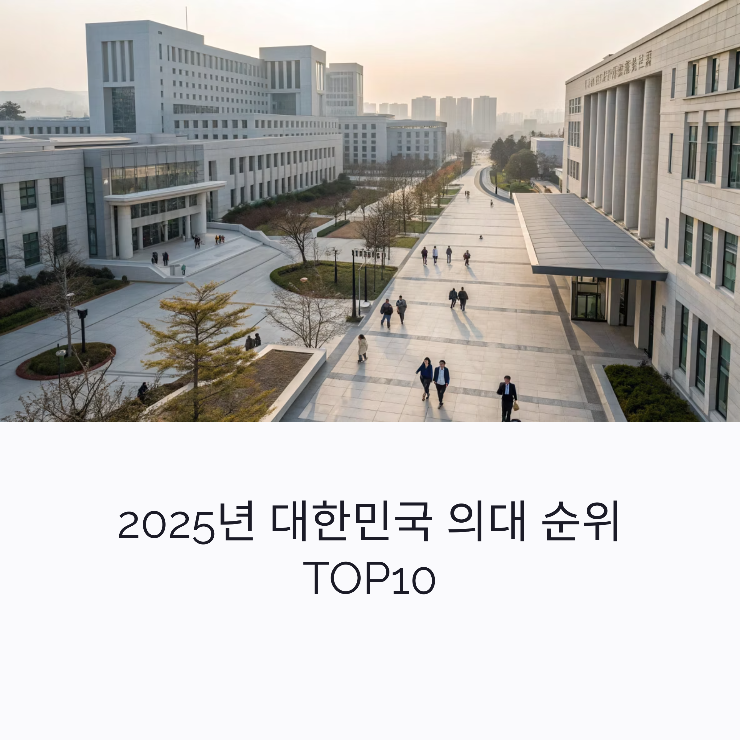 2025년 대한민국 의대 순위 TOP10: 입시와 세계평가로 본 최강 의과대학