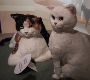 '요물' 우리를 홀린 고양이 전시회