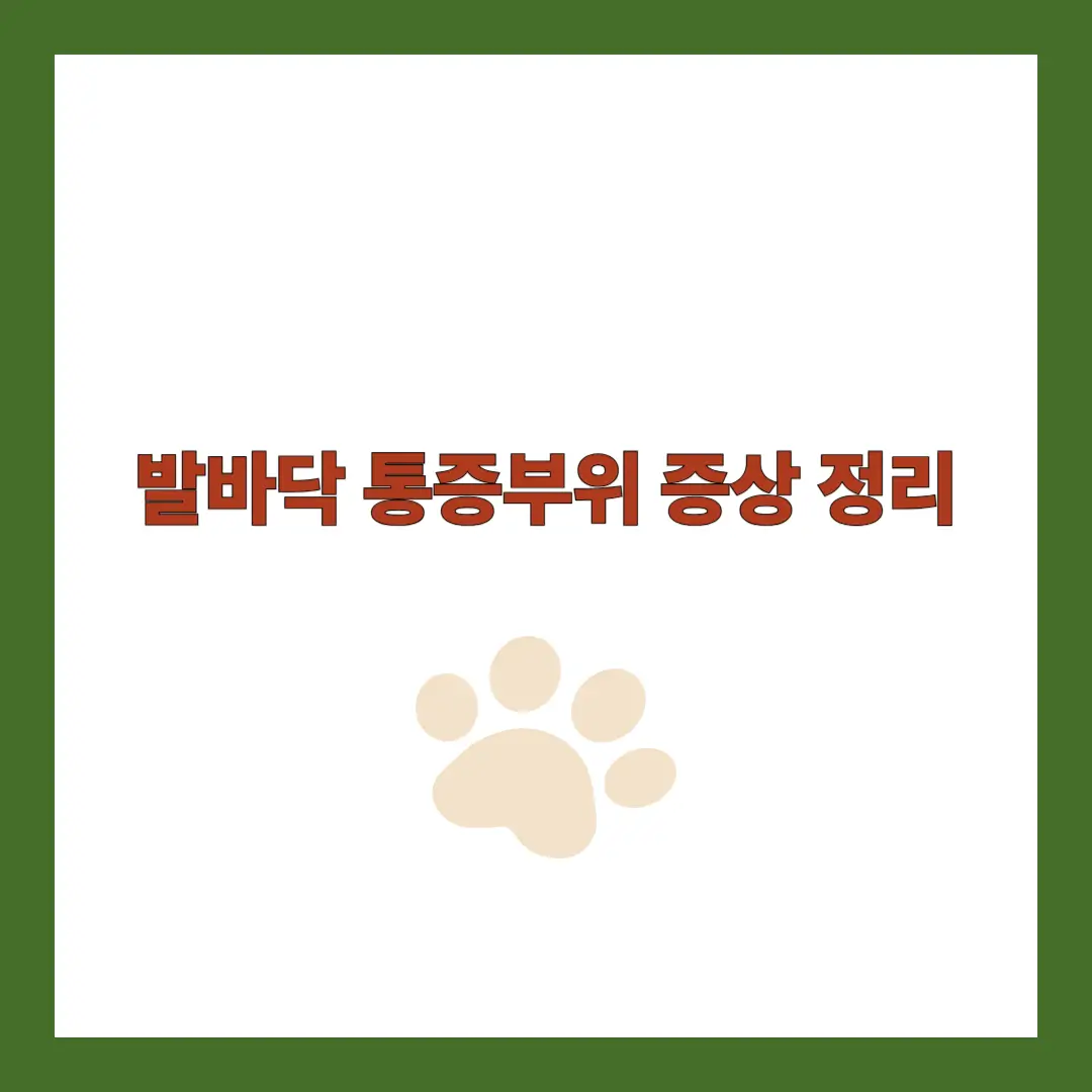발바닥 통증부위