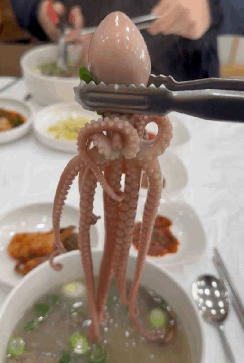 영암-독천낙지거리-갈낙탕-육낙