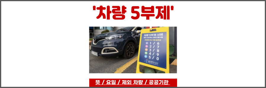 차량 5부제