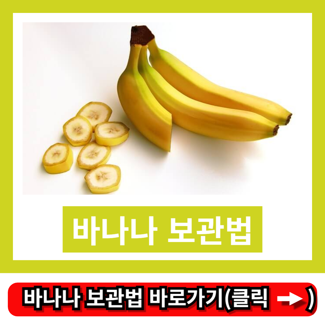바나나 보관법