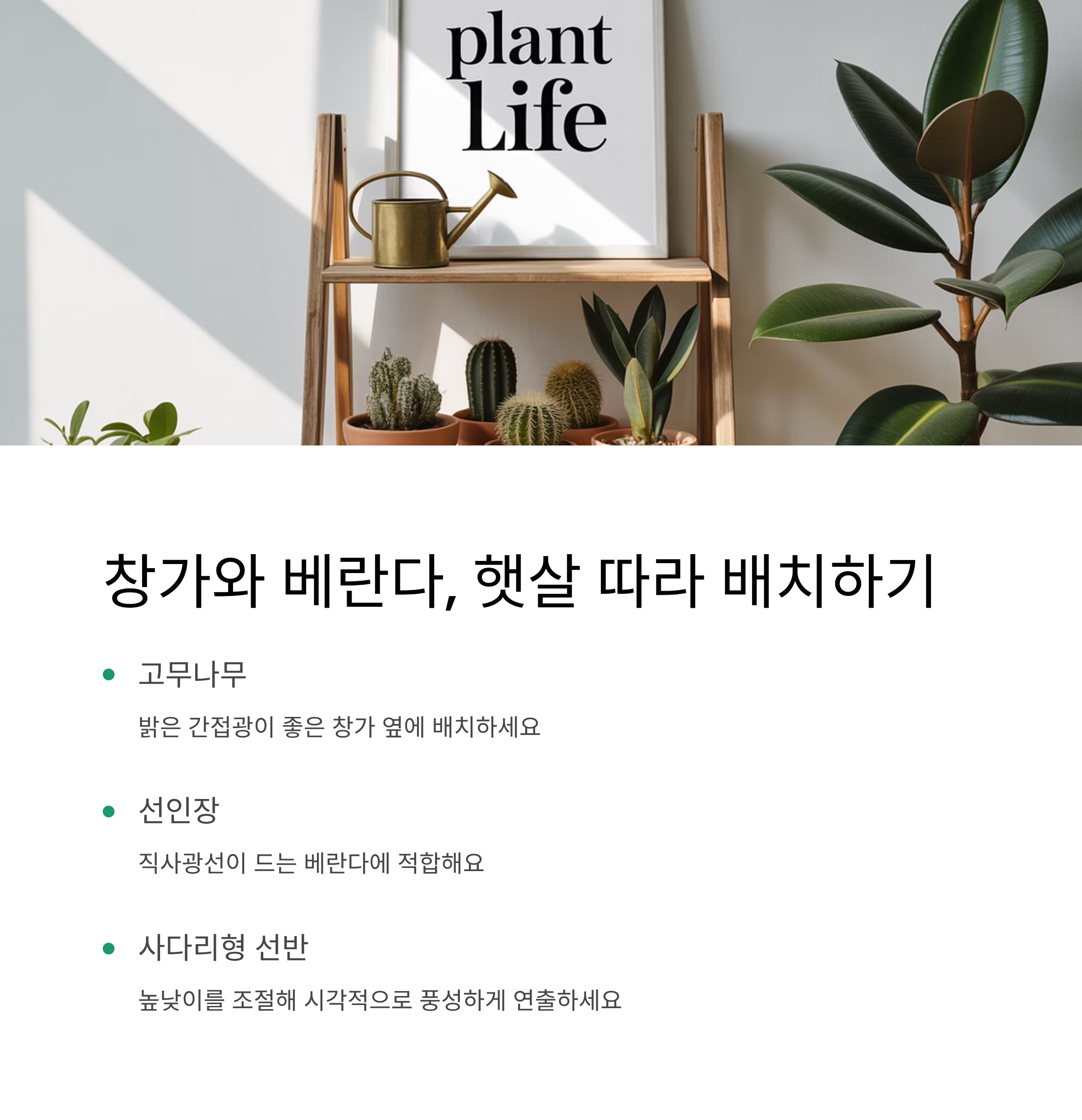 창가와 베란다 햇살 따라 배치