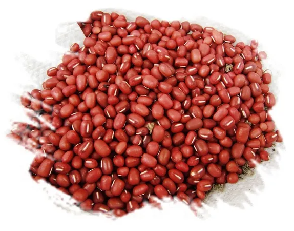 변비에 좋은 음식