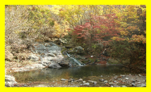 전국 국립자연휴양림&amp;#44; 자연휴양림 이용안내&amp;#44; 국립자연휴양림 후기&amp;#44; 국립휴양림 가족여행&amp;#44; 국립휴양림 부부여행&amp;#44; 