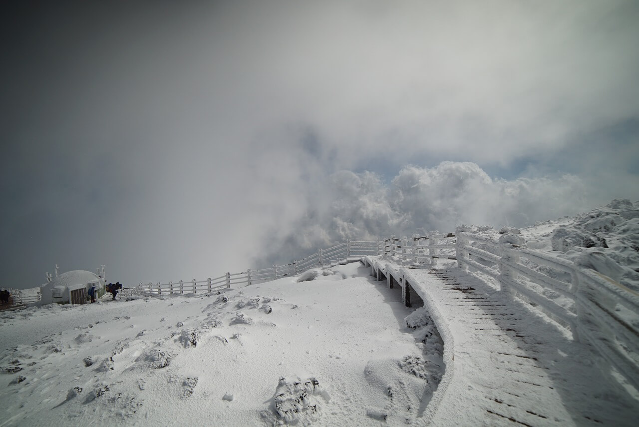 한라산 탐방예약