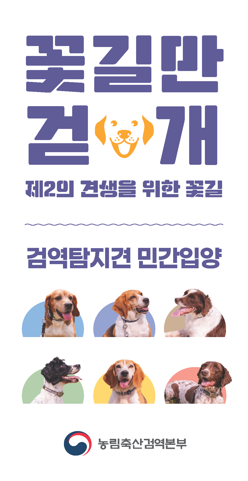 은퇴 검역탐지견 민간 입양 프로그램 소개! [반려견 강아지 애견 입양]