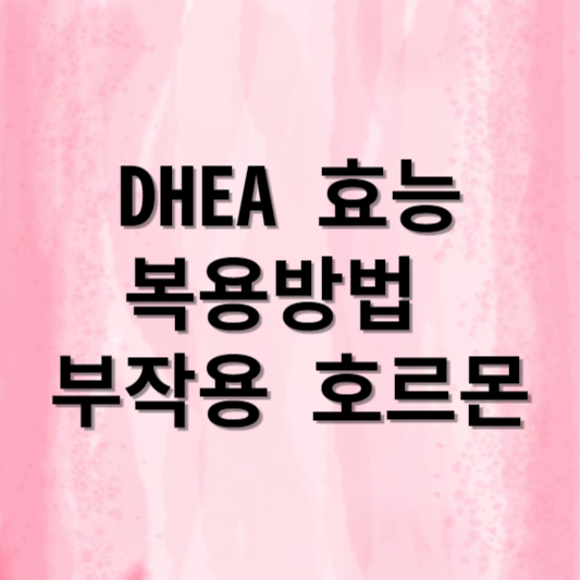 DHEA 효능 복용방법 부작용 호르몬