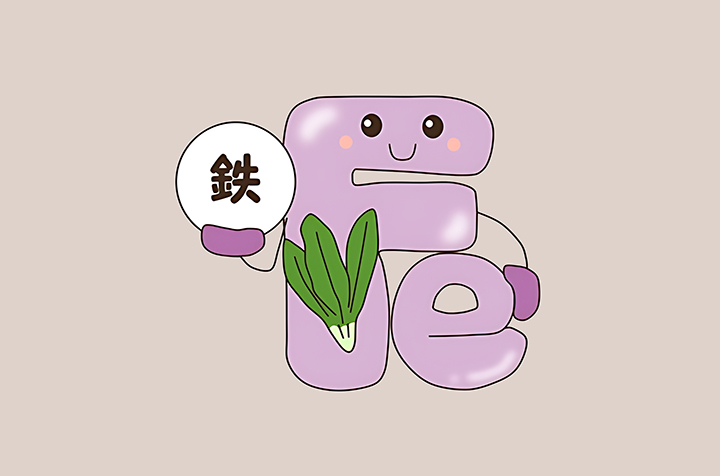철분의-모습