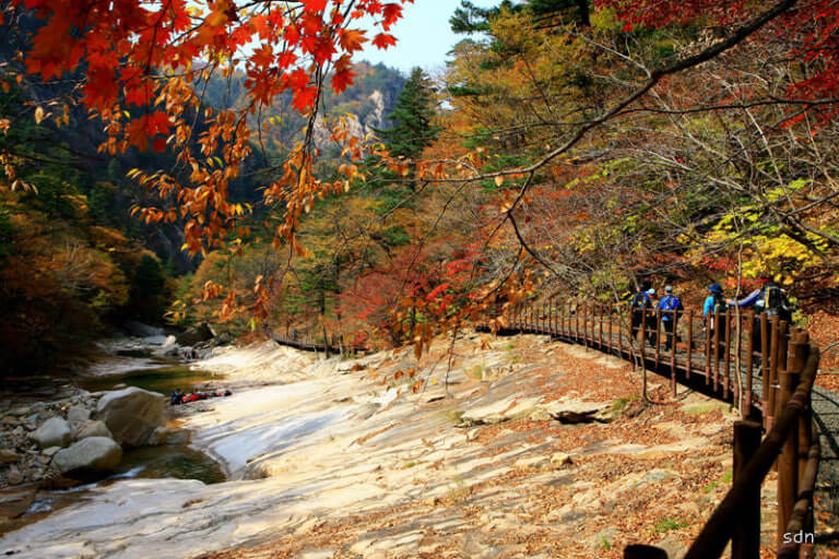 2025 설악산 수렴동 계곡 단풍 절정시기 및 트레킹코스, 주차, 맛집, 주변명소 사진
