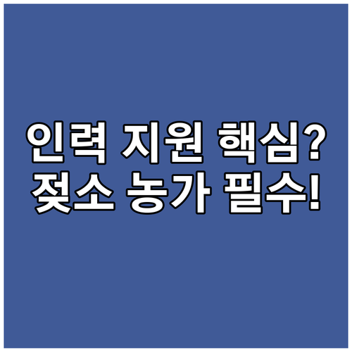 현금 아닌 전문 인력 파견 2025년..