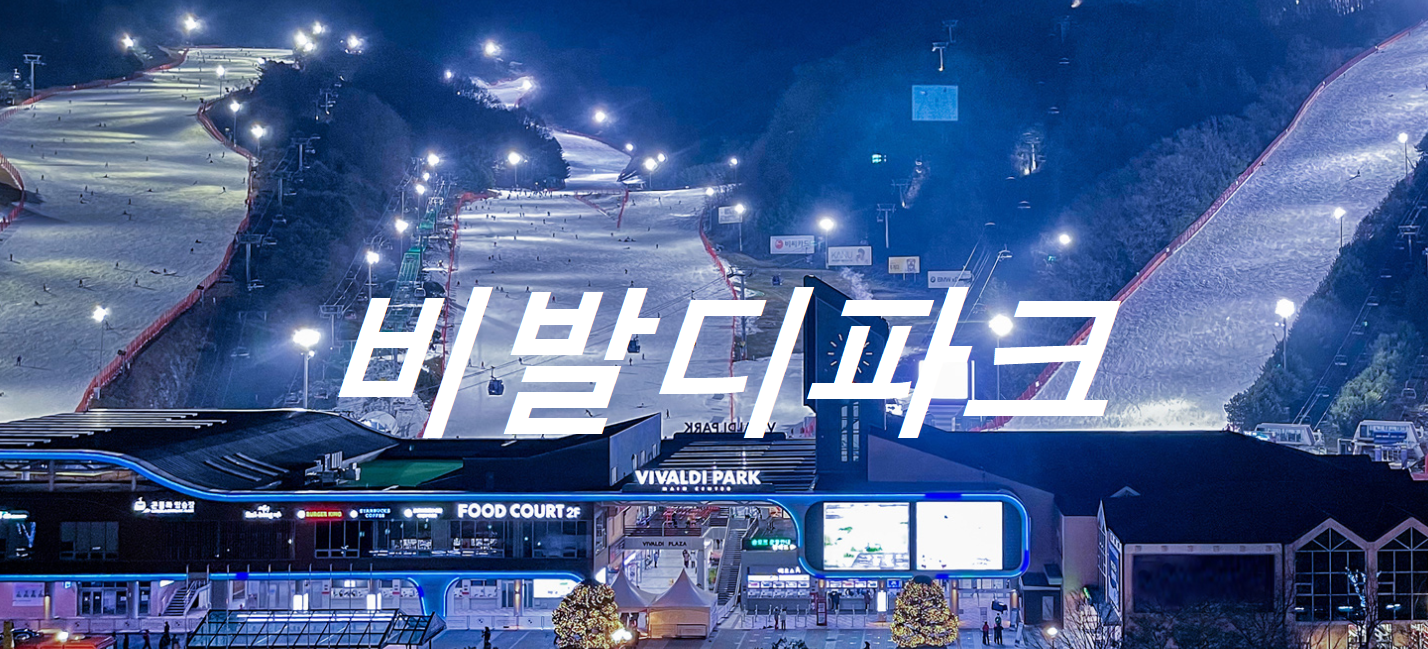 비발디파크