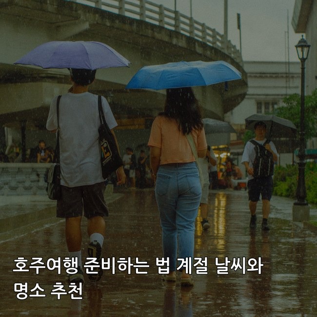 이미지 1