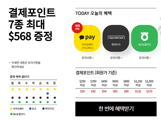 롯데 인터넷 면세점(11)
