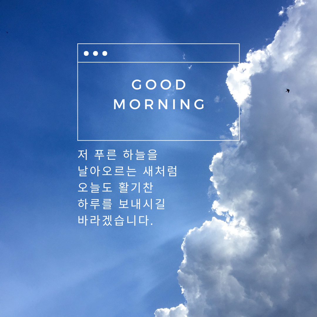 아침 인사로 좋은 글 모음 문구 이미지