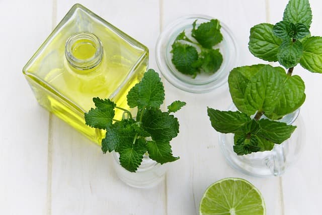 향기 요법(Aromatherapy)과 뉴로사이언스 특정 향이 수면 중 감정 조절에 미치는 생리적 기전