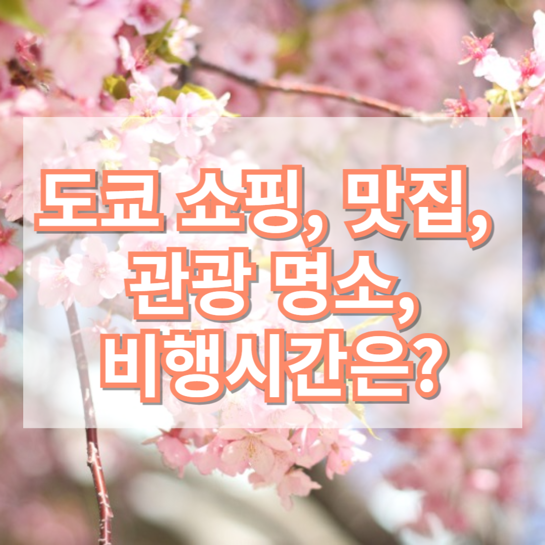 도쿄 쇼핑, 맛집, 관광 명소, 비행 시간은?