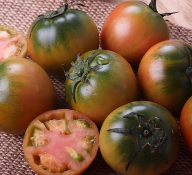 대저 토마토와 짭짤이 토마토 효능