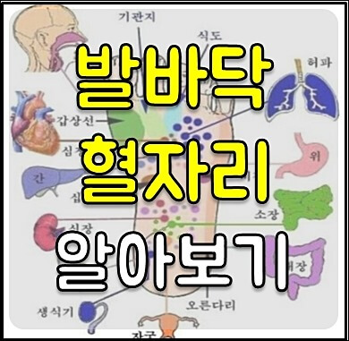 발바닥 통증부위 1