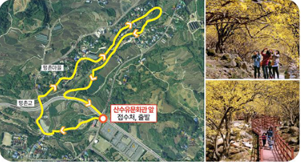 구례 산수유꽃축제 기간