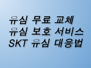 유심 무료 교체부터 유심 보호 서비스까지 - SKT 유심 해킹 대응 방법