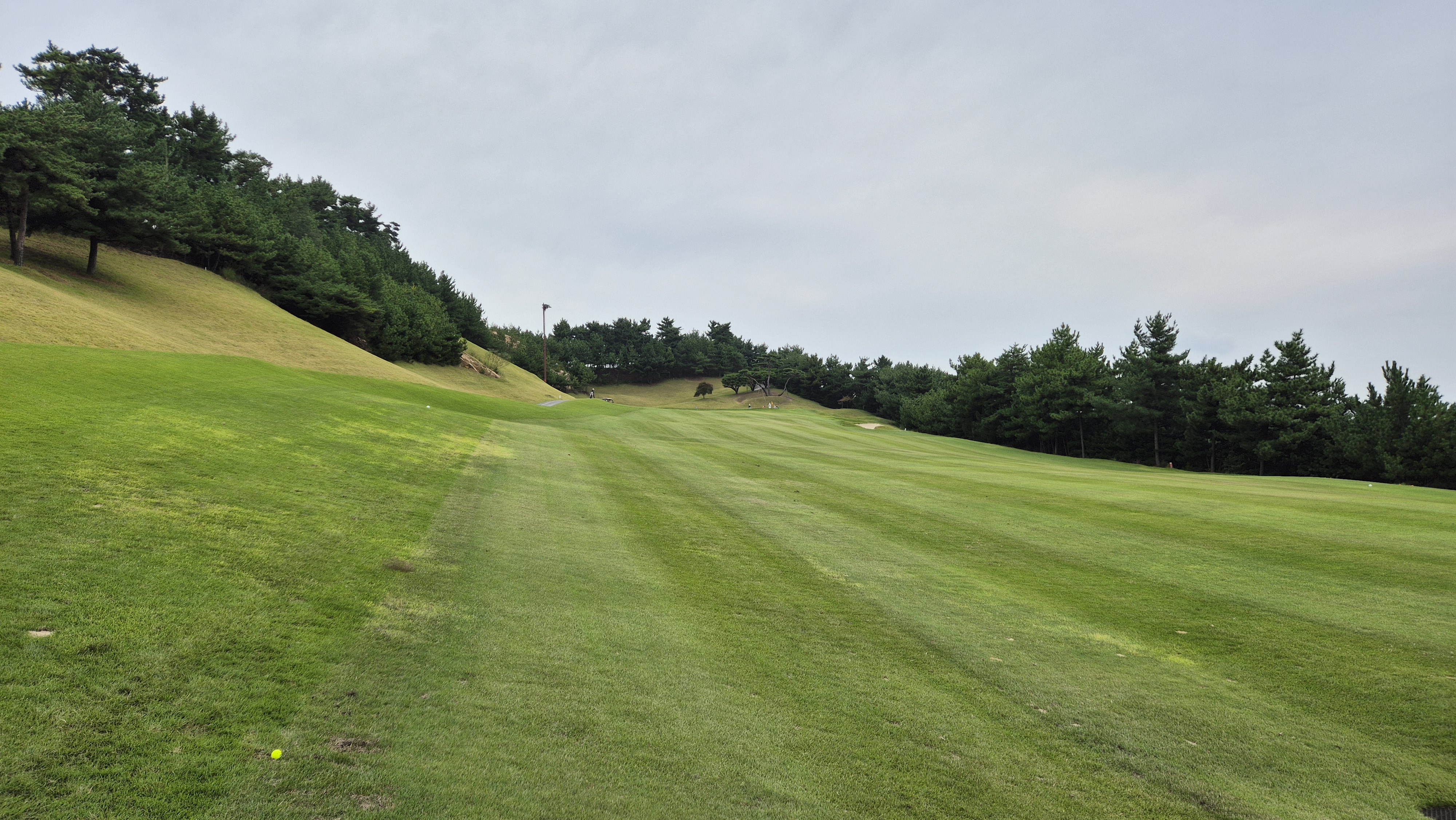 서산수cc 코스 사진 및 공략 정보