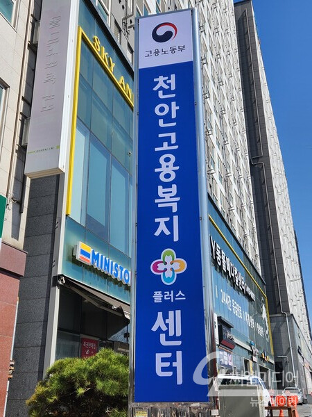 50대를 위한 직업상담사 자격증 활용법: 공공기관 취업 가능할까?