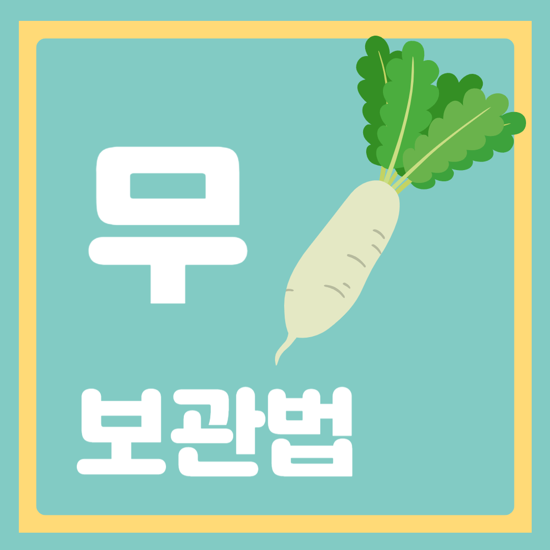 무우 보관법