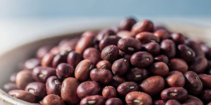 신장에 좋은 음식