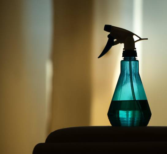 러브버그 방역, 정부 대책부터 개인 퇴치법까지 총정리