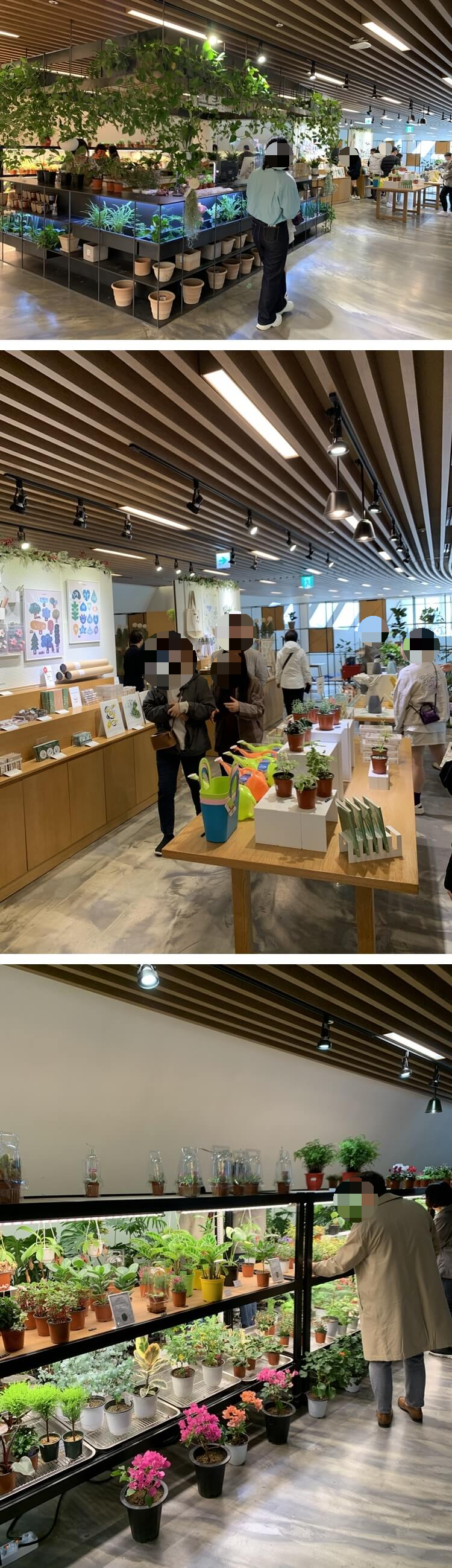 서울 식물원 판매장 내부