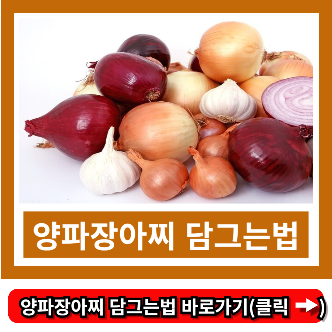 양파장아찌 담그는법