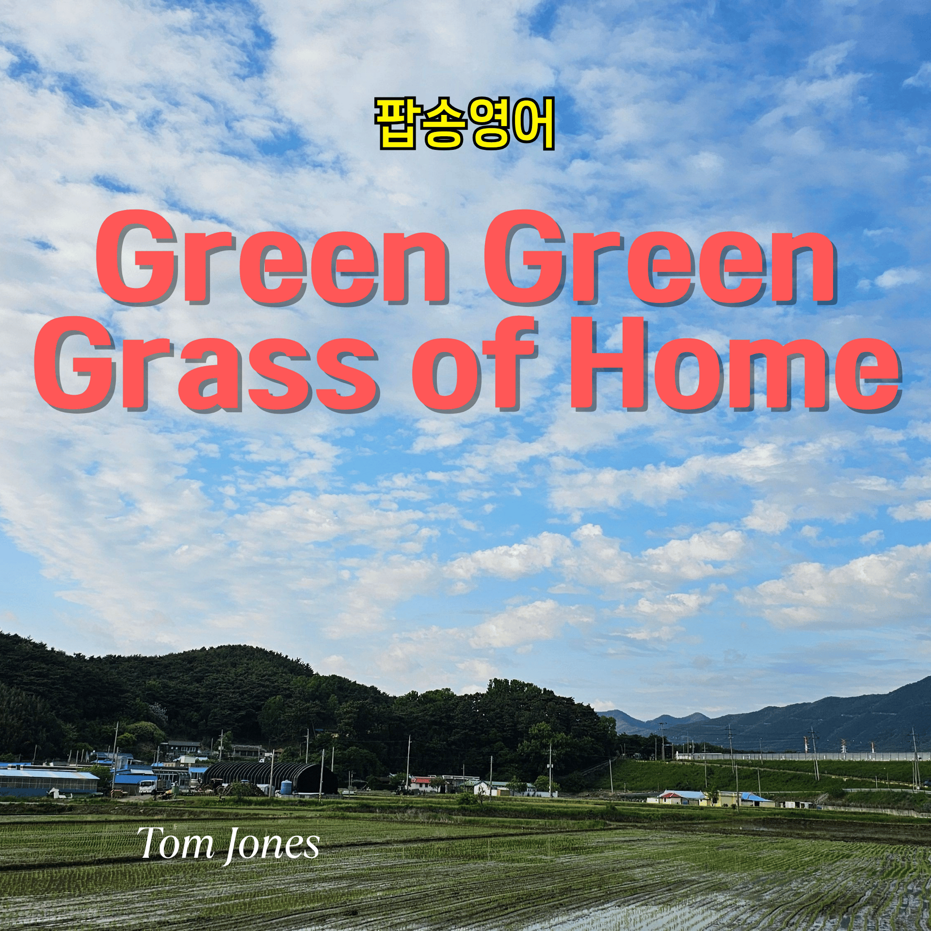 톰 존스 - Green Green Grass of Home: