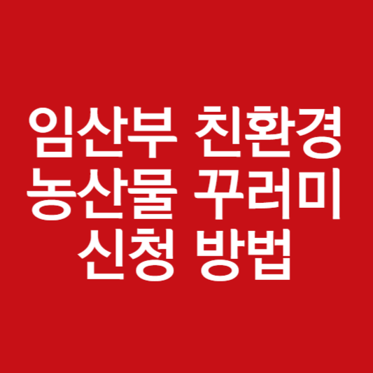 임산부 친환경 농산물 꾸러미