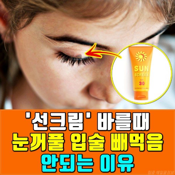 선크림 썬크림 추천,눈시림 없는 선크림,피부암,흑색종 증상,팁줌 매일꿀정보