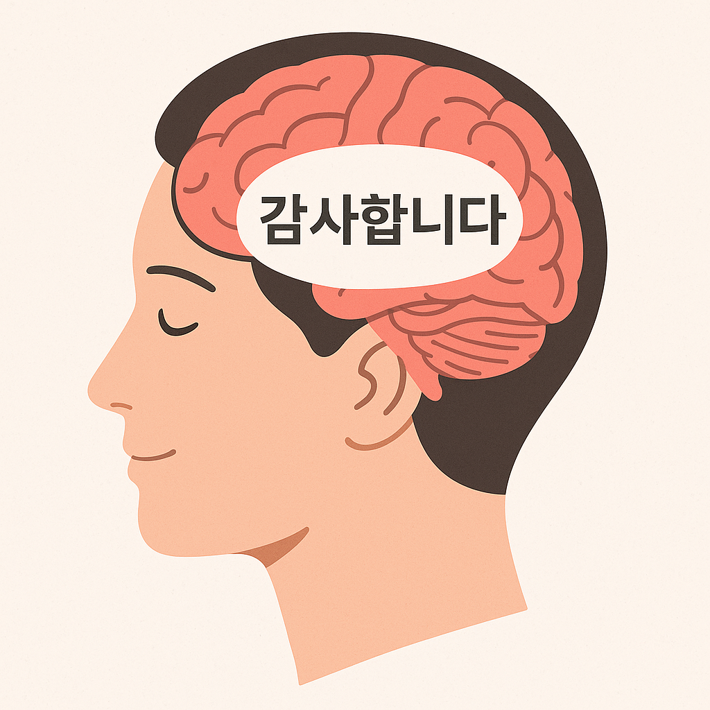 감사합니다, 마법의 문장 &ndash; 뇌와 삶을 바꾸는 힘