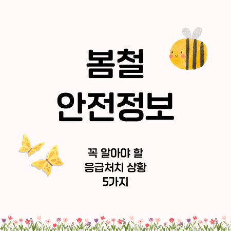 봄철 안정정보