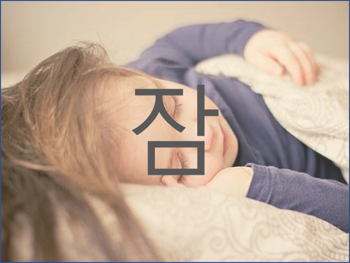 잠 수면