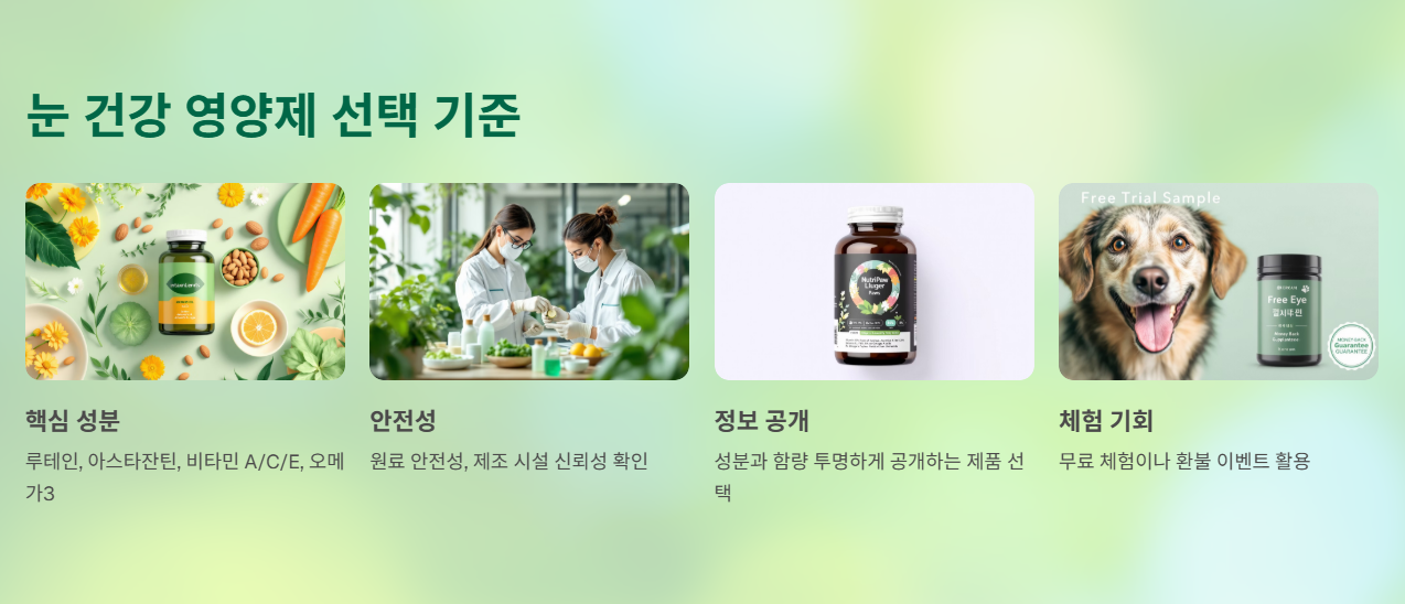 눈 건강 영양제 제품 소개