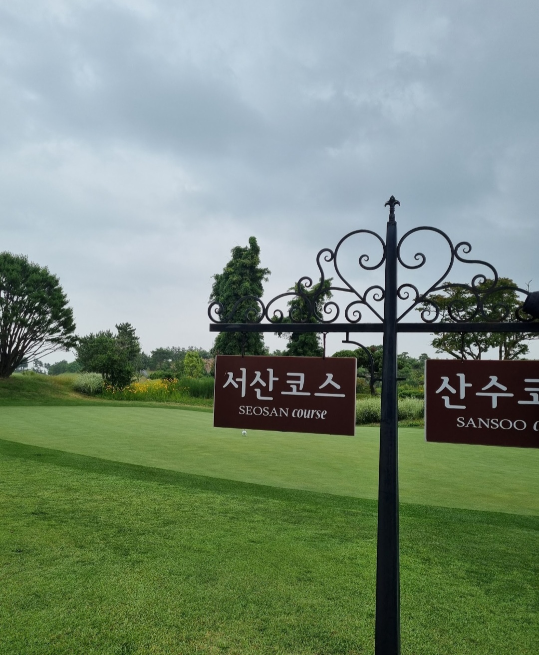 연습그린
