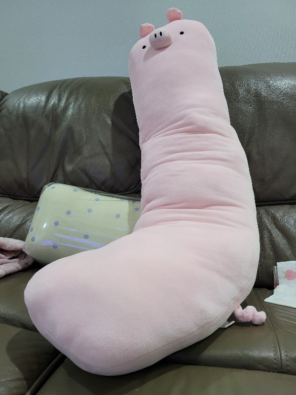 안을 수 있는 돼지 인형