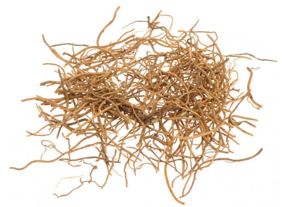 야생에서 채취를 한 세신을 깨끗하게 세척한 후에 건조시킨 것을 하얀 바닥 위에 수북하게 놓아두고 찍은 사진