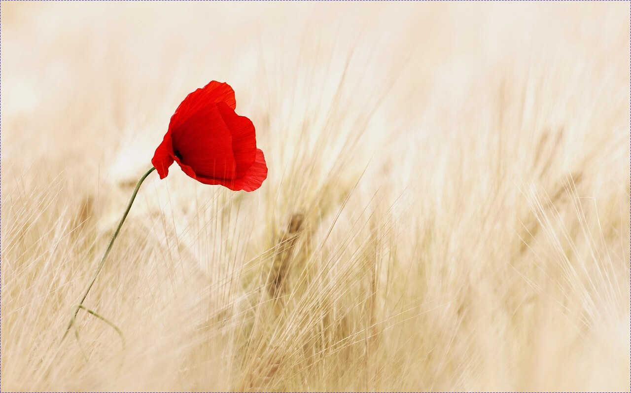 키즈카페 창업비용