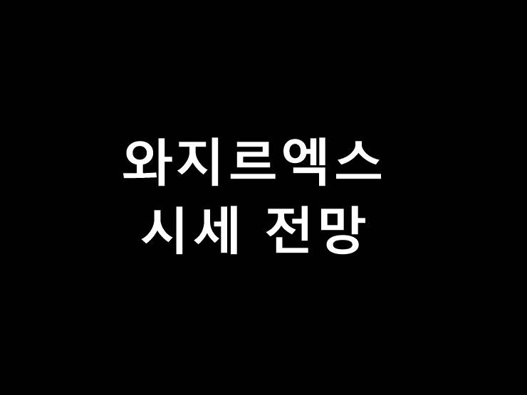 와지르엑스