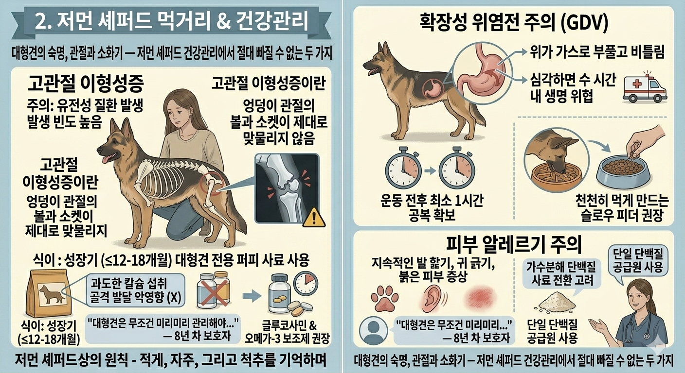 저먼 셰퍼드 먹거리 와 건강관리