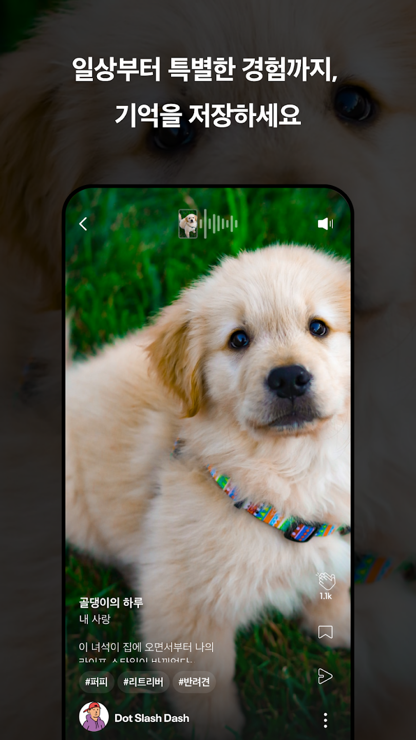 닷슬래시대시 살펴보기 1