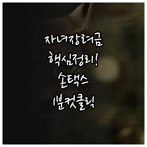 자녀장려금 신청 자격 및 손택스 홈택..