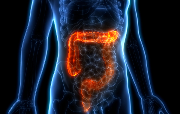 대장내시경-전-먹어도-되는-음식